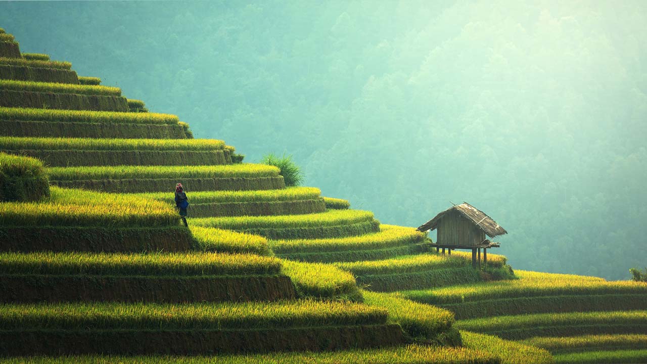 Viaggio in Vietnam - le risaie di Mai Chau