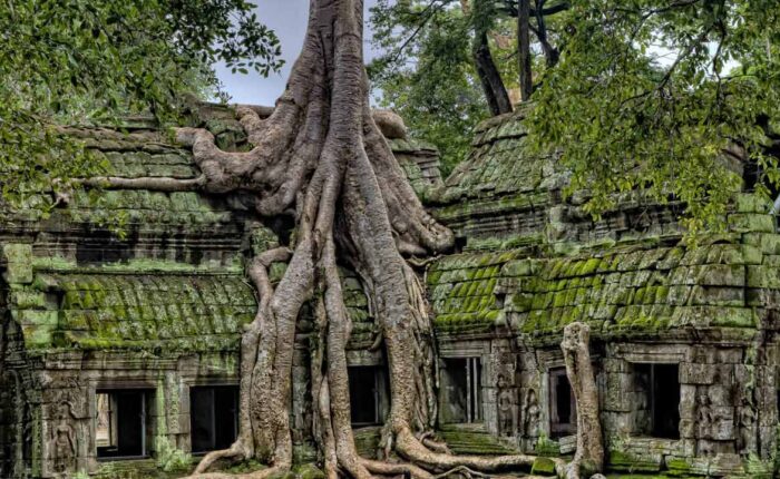 Viaggio in Cambogia - tempio-ta-prohm