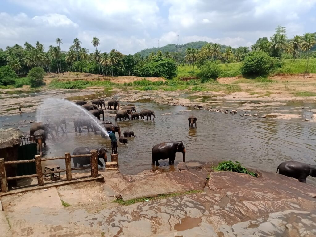 Perchè fare un viaggio in Sri Lanka