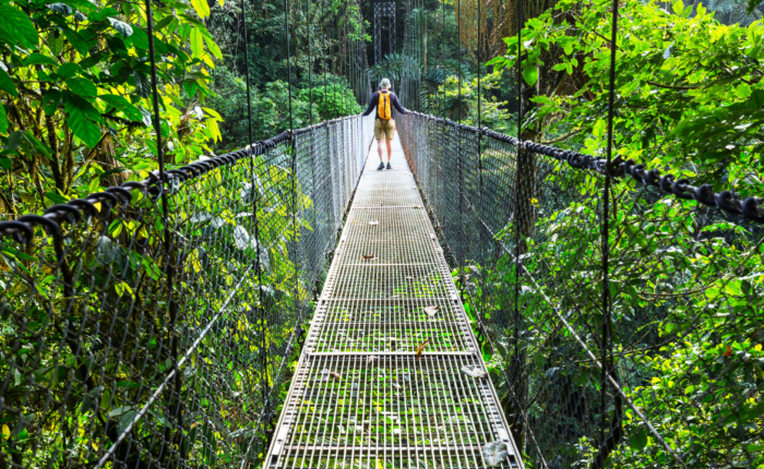 Tour Costa Rica e Playa Tortuguero - parco dei ponti sospesi un viaggio organizzato da Alla Ricerca del Viaggio tour operator di Pesaro