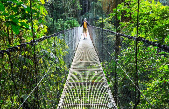 Tour Costa Rica e Playa Tortuguero - parco dei ponti sospesi un viaggio organizzato da Alla Ricerca del Viaggio tour operator di Pesaro