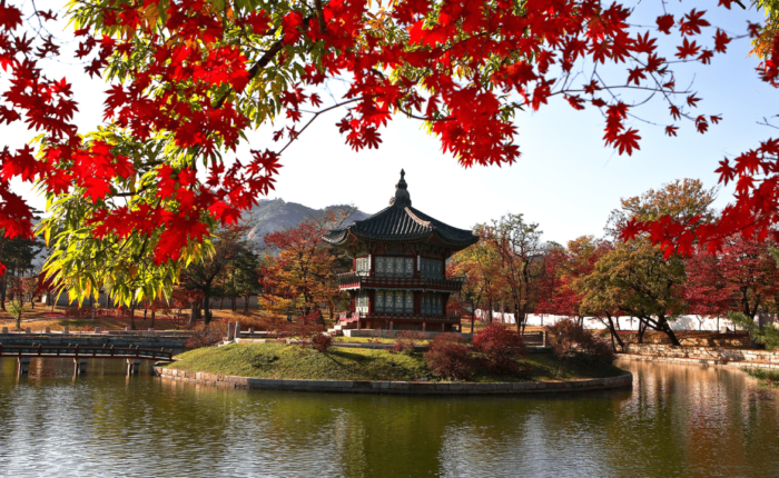 Viaggio in Corea del Sud in autunno - Viaggi di gruppo con Alla Ricerca del Viaggio Tour Operator